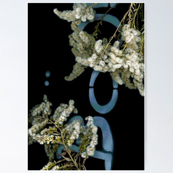 November Haunts 2 Dark Botanical Poster