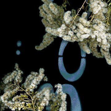 Artwork thumbnail, November Haunts 2 Dark Botanical by LindasPhotoArt