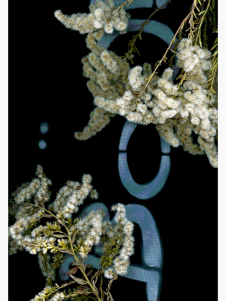Thumbnail 3 of 3, Sticker, November Haunts 2 Dark Botanical designed and sold by LindasPhotoArt.