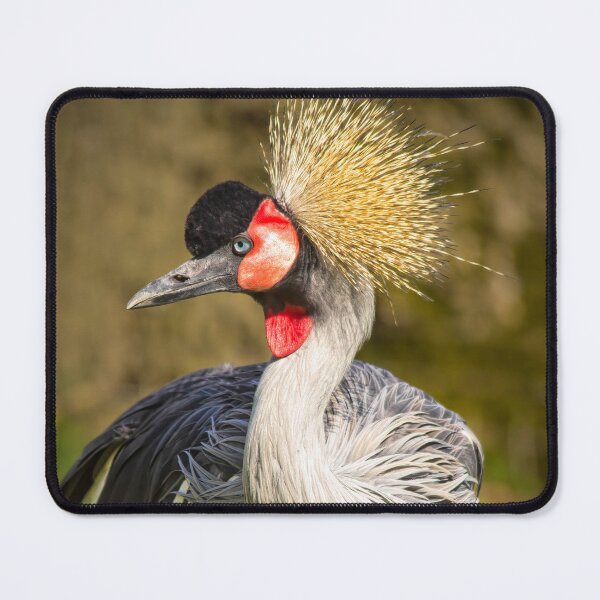 Item preview, Crested Crane designed and sold by Viv Thompson Photography .