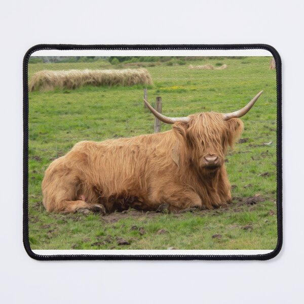 Item preview, The Hairy Coo - Highland cow designed and sold by Photogold Photo Gifts.