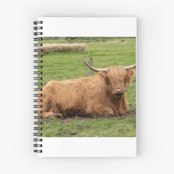 Item preview, The Hairy Coo - Highland cow designed and sold by Photogold Photo Gifts.