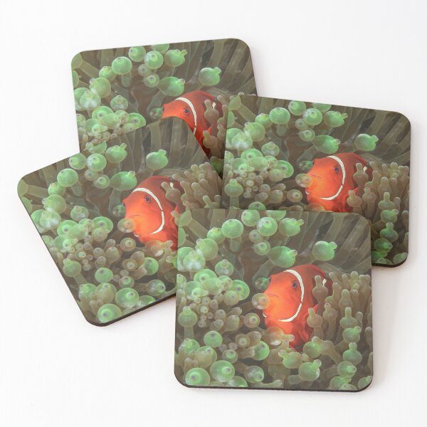 Item preview, Spinecheek Anemonefish designed and sold by Mark Rosenstein.