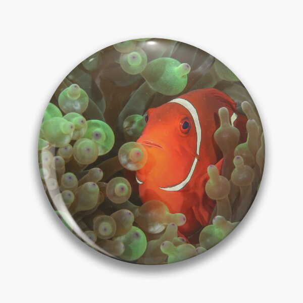 Item preview, Spinecheek Anemonefish designed and sold by Mark Rosenstein.