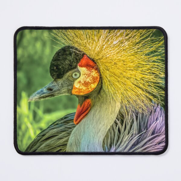 Item preview, The Poseur designed and sold by Viv Thompson Photography .