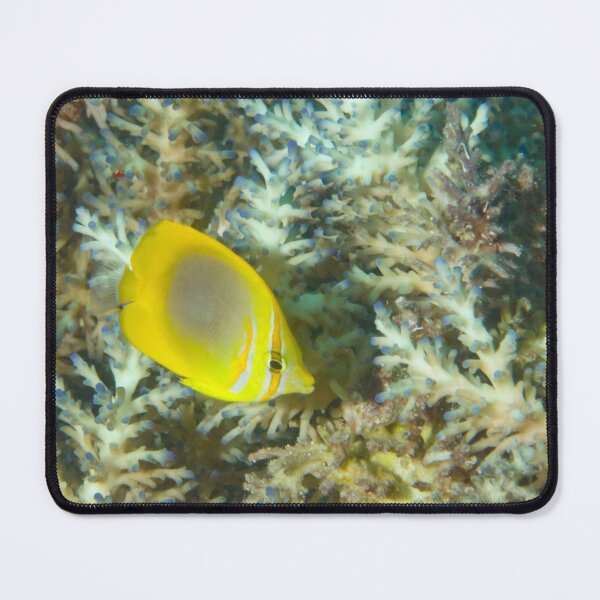 Item preview, Golden-striped Butterflyfish designed and sold by Mark Rosenstein.