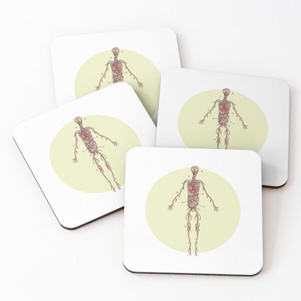 Item preview, Batrachian Anatomical figure designed and sold by Ailantd.