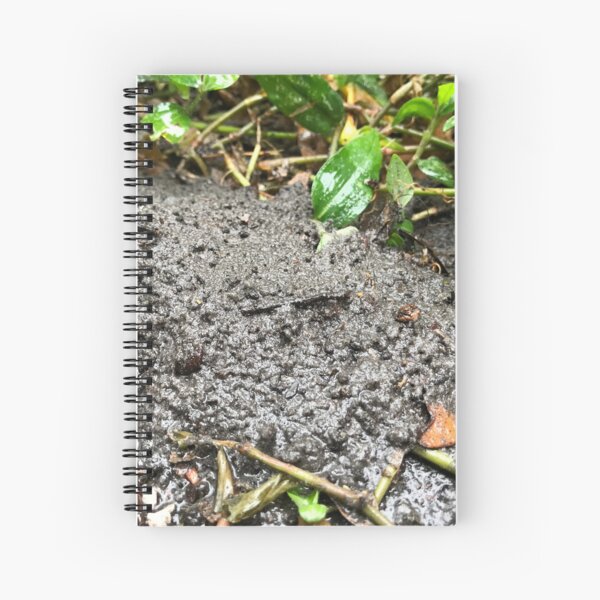 Muddy Day Spiral Notebook