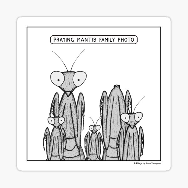 Item preview, Praying Mantis family photo designed and sold by Inklings cartoons.