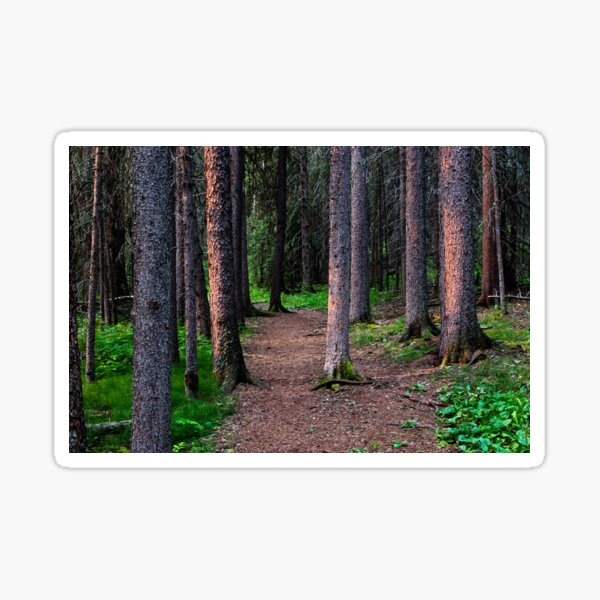 Item preview, Early morning hiking sunrise designed and sold by CanadianWild418.