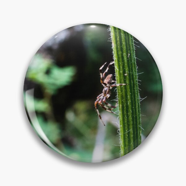 Artikelvorschau, Makroaufnahme einer Spinne auf dem Wanderweg entworfen und verkauft von CanadianWild418.