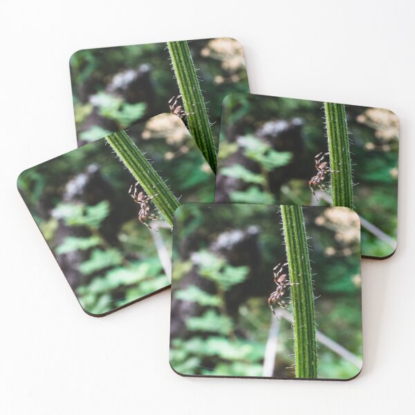 Item preview, Macro image of a spider on the hiking trail designed and sold by CanadianWild418.