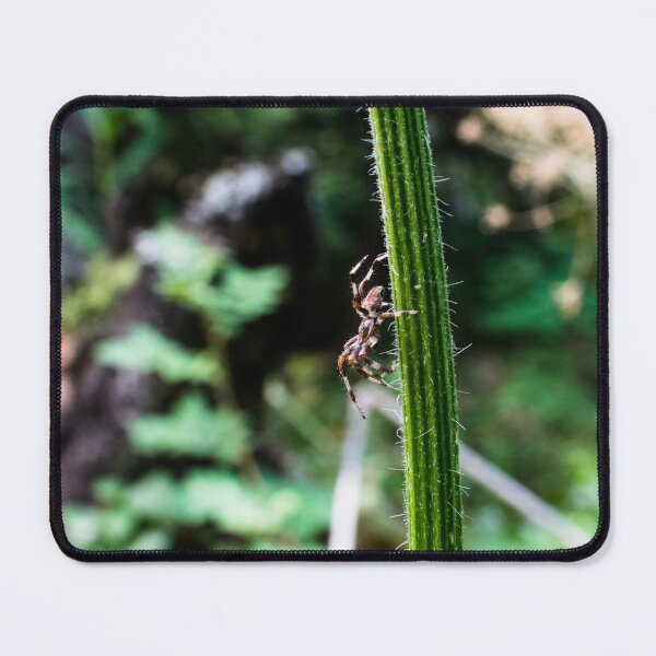 Item preview, Macro image of a spider on the hiking trail designed and sold by CanadianWild418.
