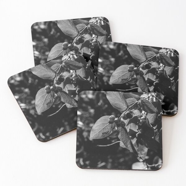 Item preview, Plant life in black and white designed and sold by CanadianWild418.