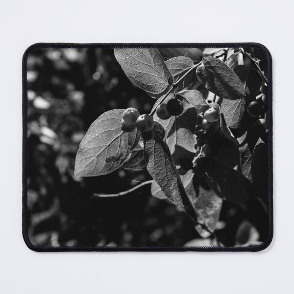 Item preview, Plant life in black and white designed and sold by CanadianWild418.