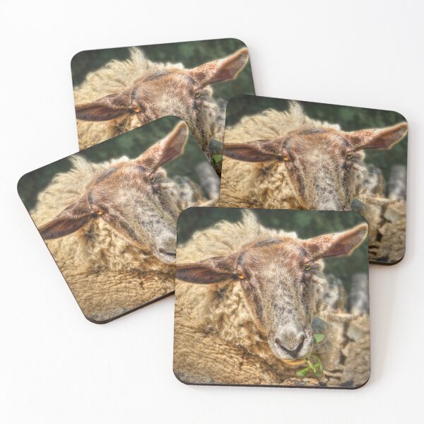 Item preview, Sheepish Looks designed and sold by Viv Thompson Photography .