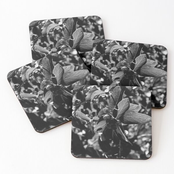 Item preview, Black and white plant life designed and sold by CanadianWild418.