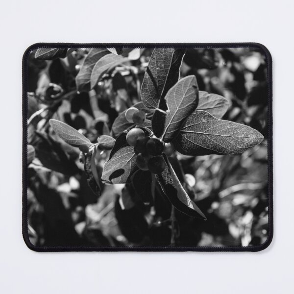 Item preview, Black and white plant life designed and sold by CanadianWild418.