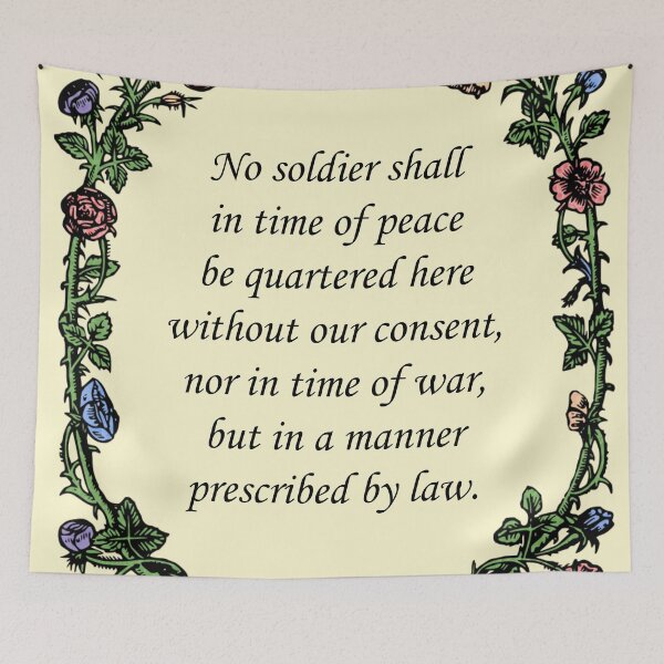 Item preview, Third Amendment designed and sold by Jonah Mann.