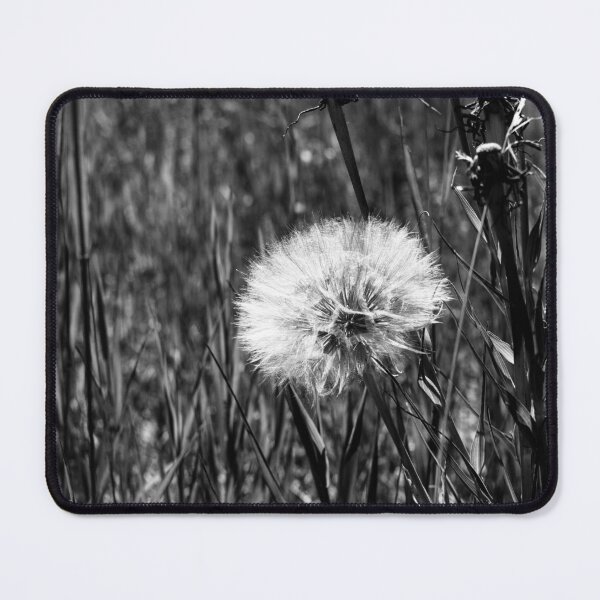 Item preview, Dandelion in black and white designed and sold by CanadianWild418.