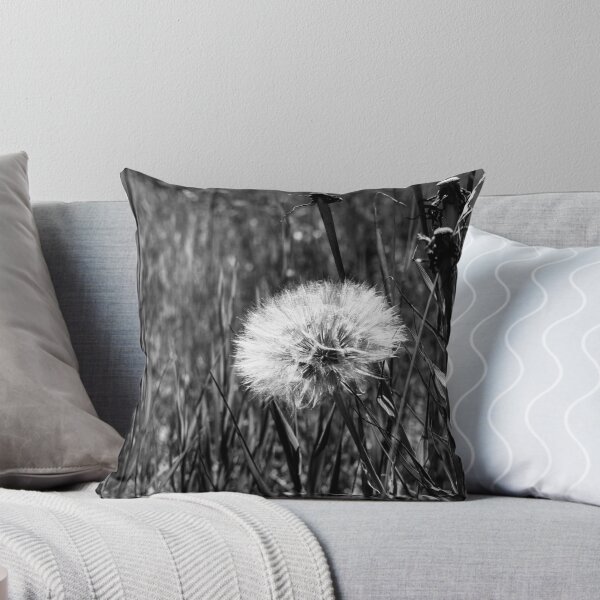 Item preview, Dandelion in black and white designed and sold by CanadianWild418.