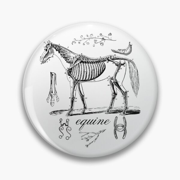 Item preview, Equine Vintage Horse Skeleton Black Line Drawing Design designed and sold by EarthArtDesigns.
