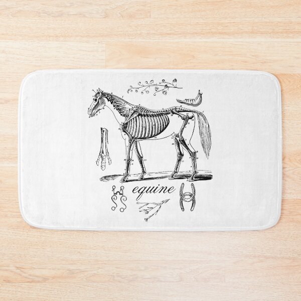 Item preview, Equine Vintage Horse Skeleton Black Line Drawing Design designed and sold by EarthArtDesigns.