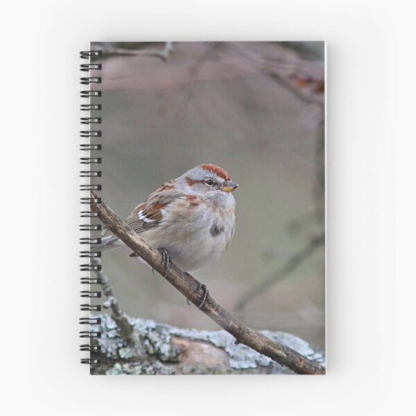 Item preview, American tree sparrow designed and sold by Linda Crockett.