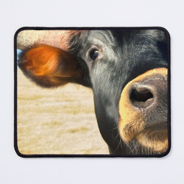 Item preview, Hello There A Curious Cow designed and sold by art64.