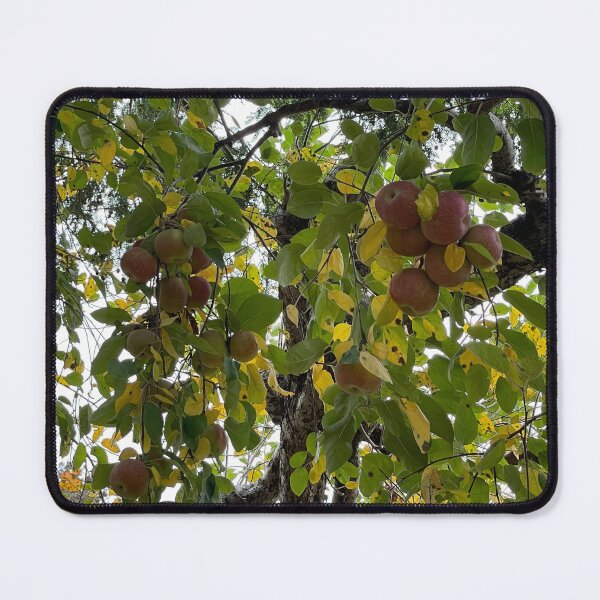 Item preview, Apple Orchard Series #6 designed and sold by PrettyHappyArt.