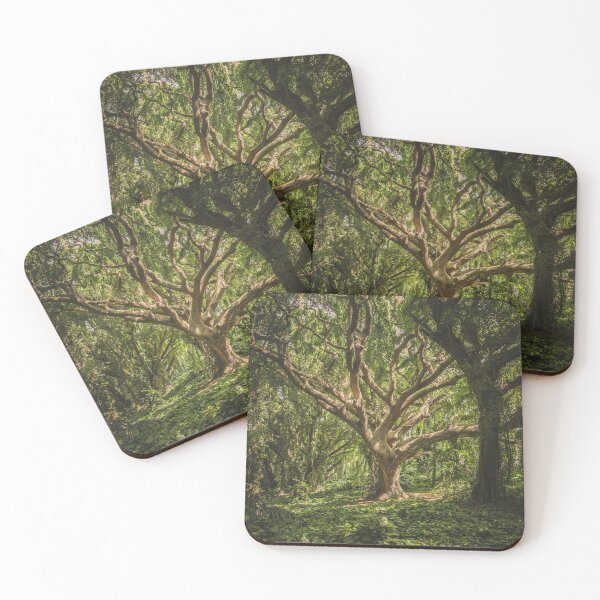 Item preview, Winding Tree in a Winding Forest designed and sold by spiritualvibing.