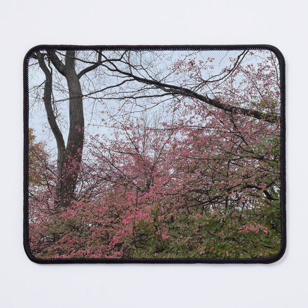 Item preview, Orchard Series #11 designed and sold by PrettyHappyArt.