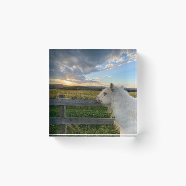 Item preview, Horse Watching the Sunset designed and sold by HeartHerd.