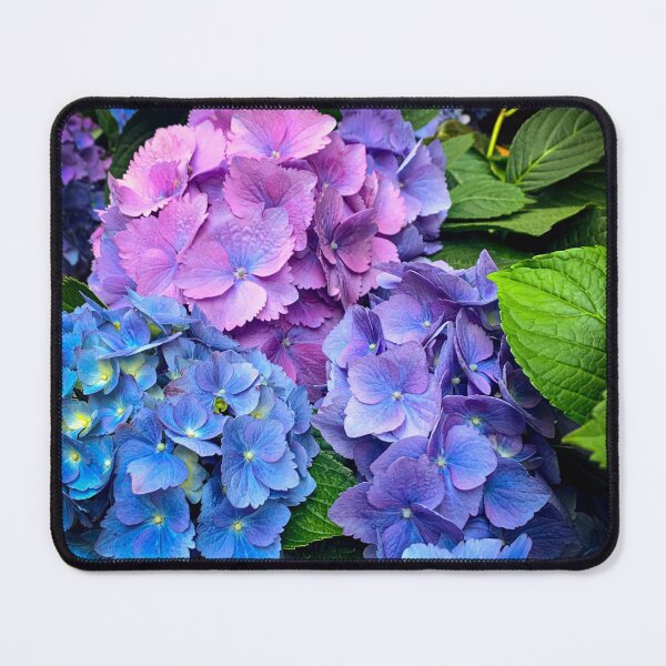 Item preview, Beautiful Blue Hydrangea Flowers designed and sold by KayArtandPencil.