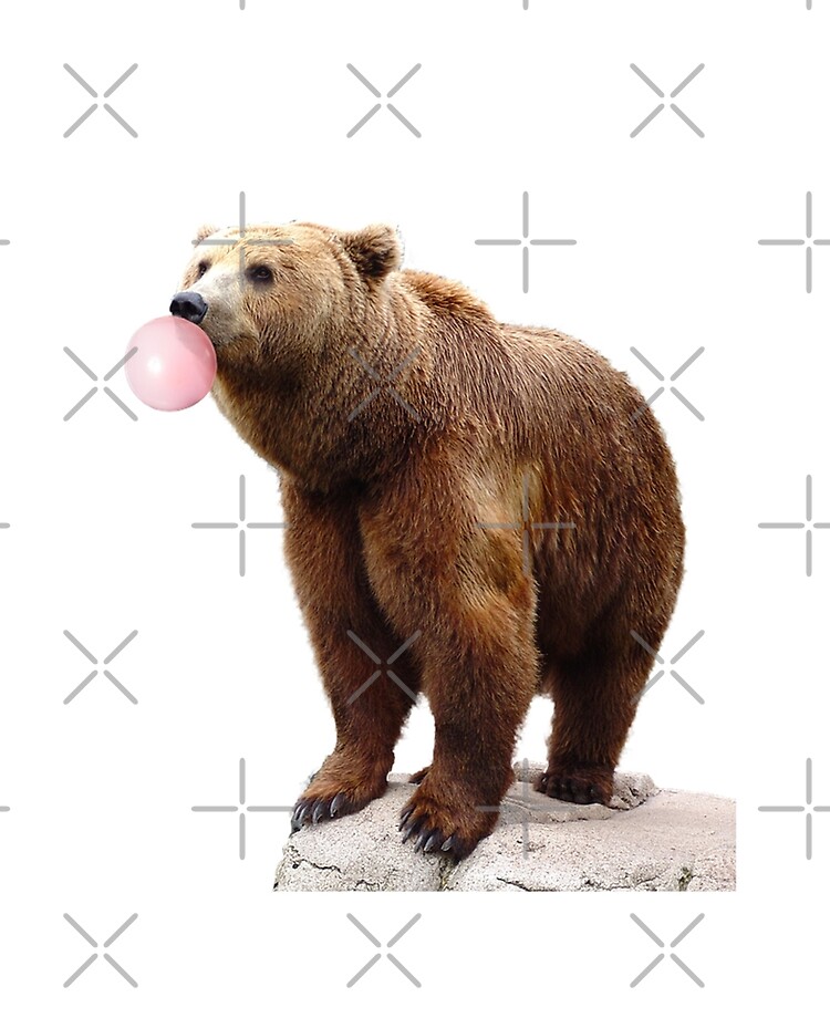 Grizzly Bear with His Teddy Bear Framed Print Picture Poster Cute Animal Art