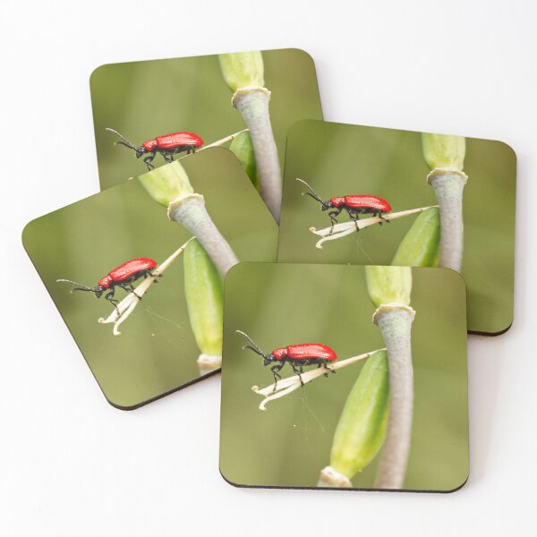 Item preview, Scarlet Lily Beetle - RHS Garden Wisley - Surrey - English Gardens designed and sold by LucaRocchini.