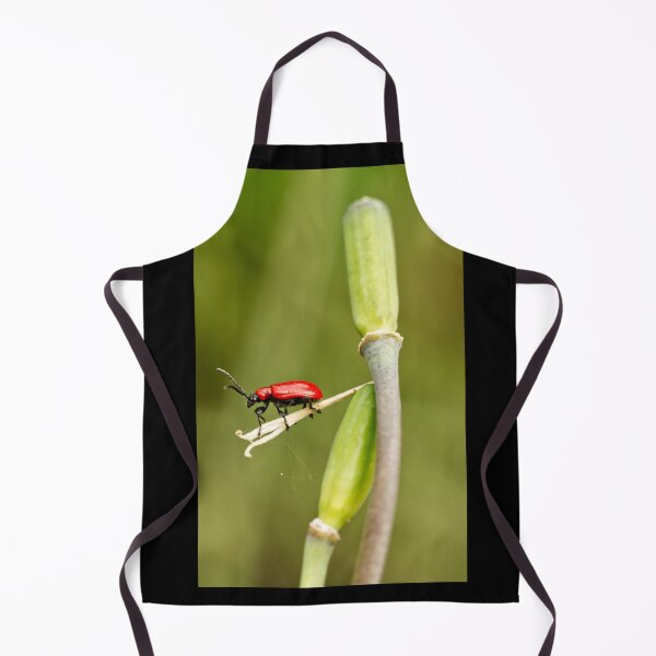 Item preview, Scarlet Lily Beetle - RHS Garden Wisley - Surrey - English Gardens designed and sold by LucaRocchini.