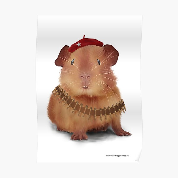GeePee - Revolutionary Poster