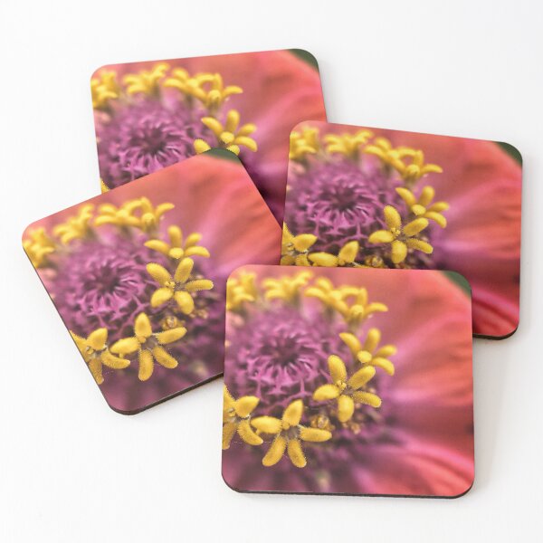 Item preview, Zinnia designed and sold by Jason Tompkins.
