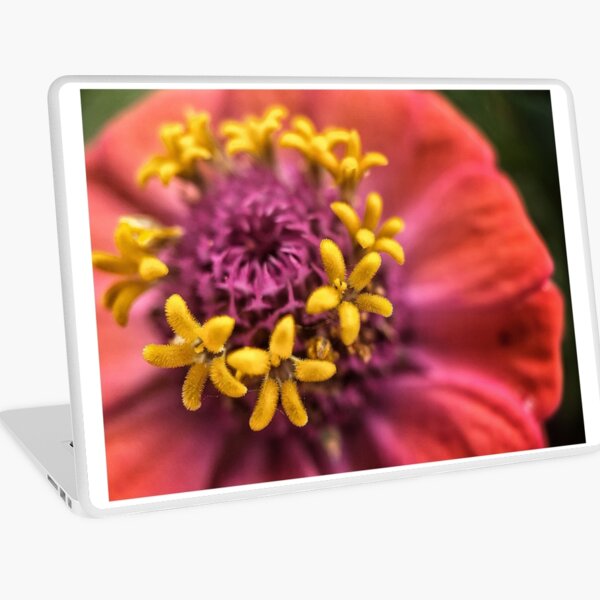 Aperçu de l'œuvre Zinnia créée et vendue par Jason Tompkins.