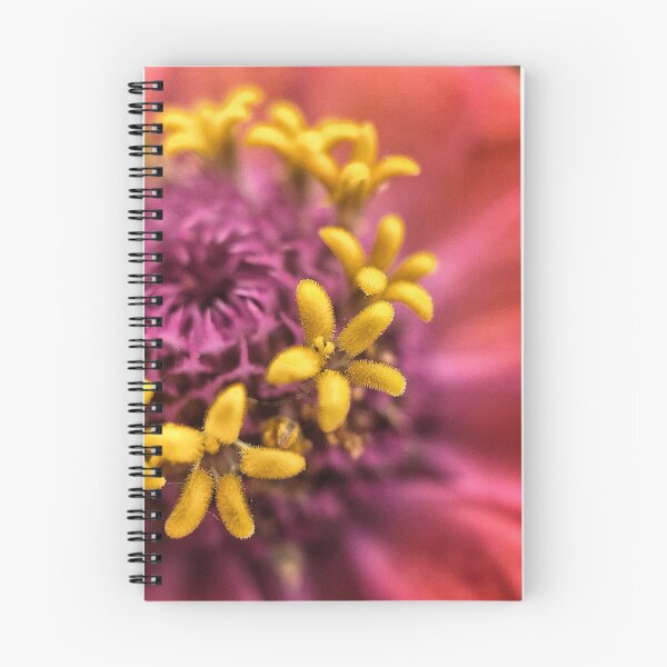 Item preview, Zinnia designed and sold by Jason Tompkins.
