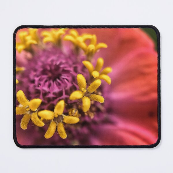 Item preview, Zinnia designed and sold by Jason Tompkins.