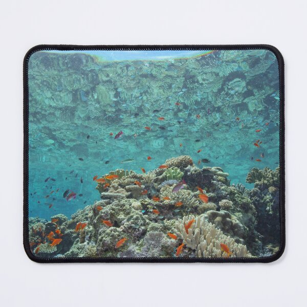 Item preview, Reef Reflection designed and sold by Mark Rosenstein.