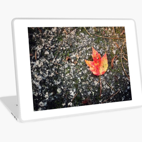 Aperçu de l'œuvre Un peu d'automne créée et vendue par Jason Tompkins.