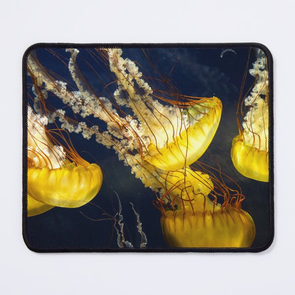Item preview, Jellyfish designed and sold by Austscapes.