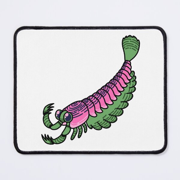 Item preview, Yohoia utahana, a silly little extinct cambrian arthropod designed and sold by TheDangerGoose.
