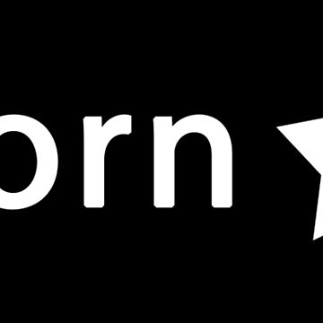"Porn Star" Poster for Sale by njmclean | Redbubble