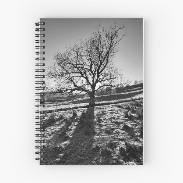 Item preview, Ash Tree designed and sold by RONALD MACKENZIE.