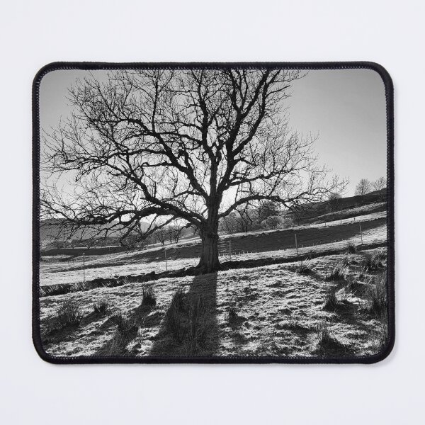 Item preview, Ash Tree designed and sold by RONALD MACKENZIE.