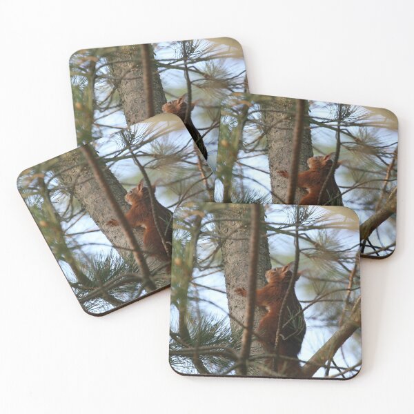 Item preview, Cute Young Red Squirrel designed and sold by francophotos.